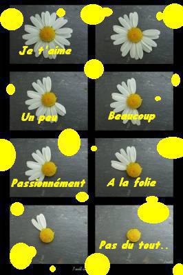 tu maime comment ???
