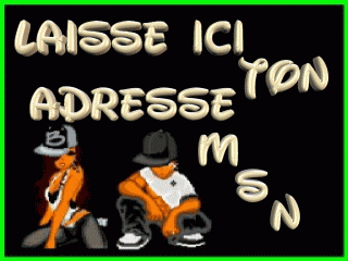 laisse ton adresse msn !!