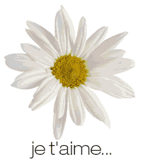 je t'aime....